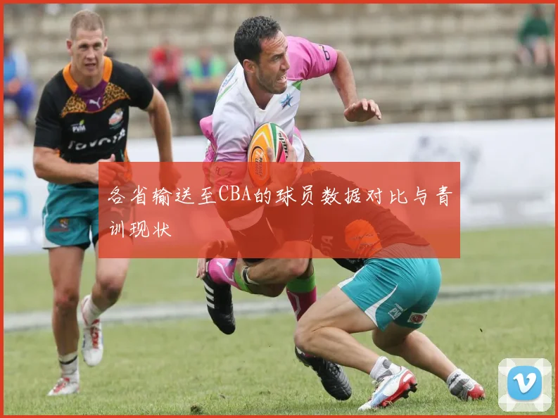 各省输送至CBA的球员数据对比与青训现状