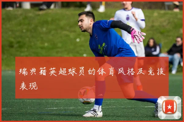 瑞典籍英超球员的体育风格及竞技表现