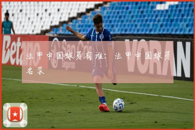 法甲中国球员有谁：法甲中国球员名录