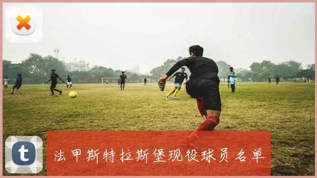 法甲斯特拉斯堡现役球员名单