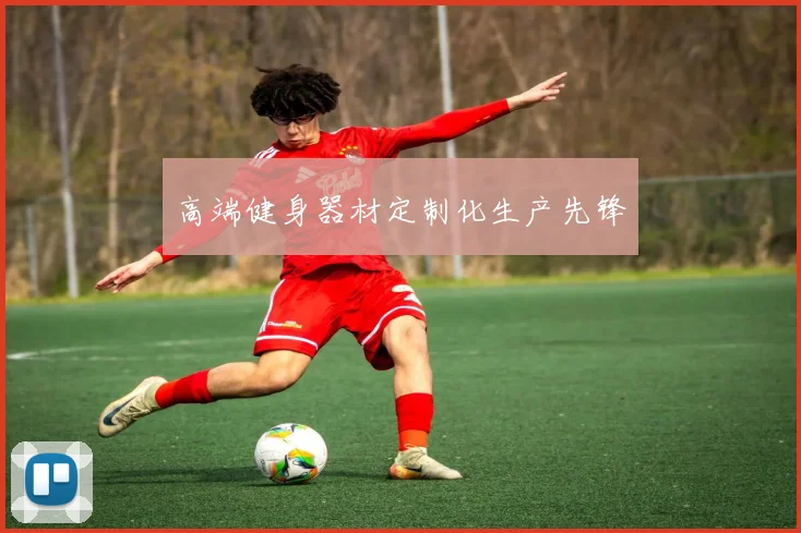 高端健身器材定制化生产先锋