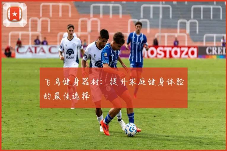 飞鸟健身器材：提升家庭健身体验的最佳选择