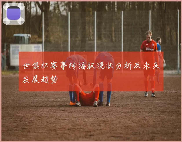 世俱杯赛事转播权现状分析及未来发展趋势