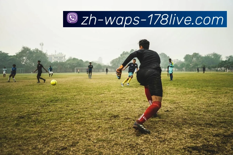 178体育直播APP 高清赛事图